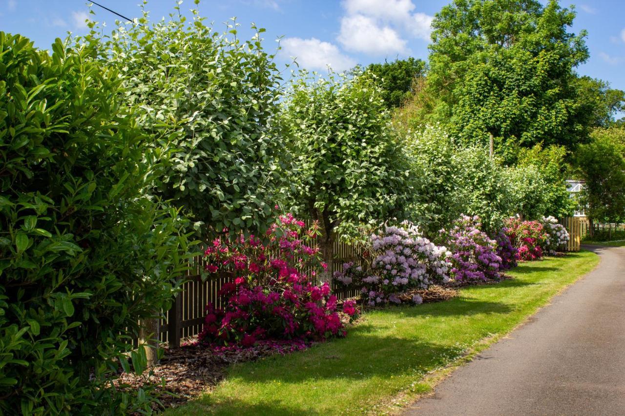 Home Farm B&B - Poppy Room Forfar Luaran gambar